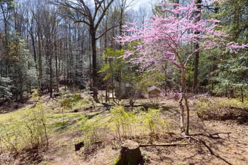 4013 Saint Edmunds Ln, Apex, NC 27539