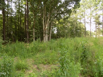 4013 Us 401 Lot 3, Louisburg, NC 27549