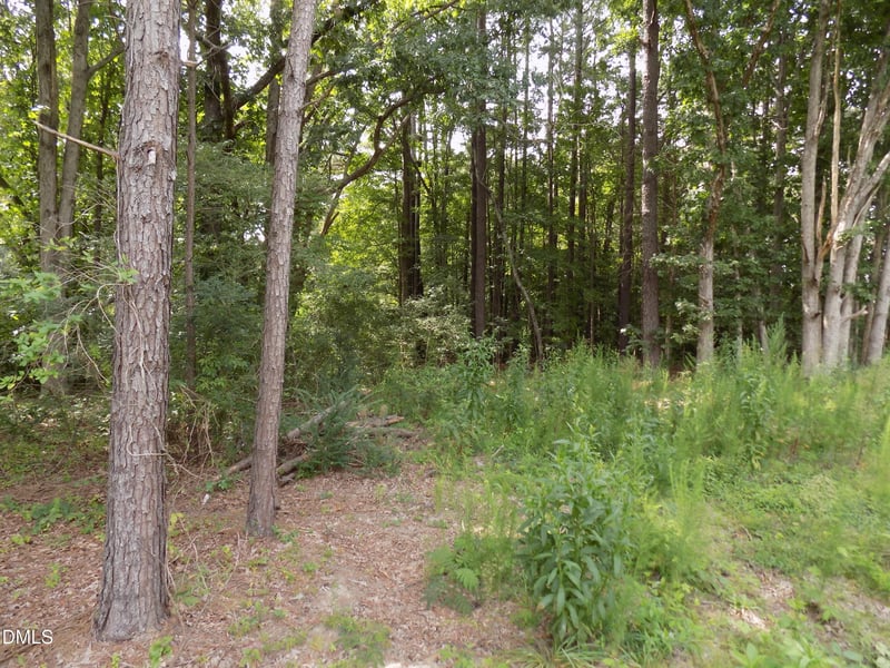 4013 Us 401 Lot 3, Louisburg, NC 27549