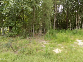 4013 Us 401 Lot 3, Louisburg, NC 27549