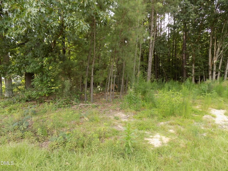 4013 Us 401 Lot 3, Louisburg, NC 27549