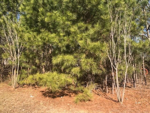 4017 Rock Quarry Rd Lot 8, Raleigh, NC 27610
