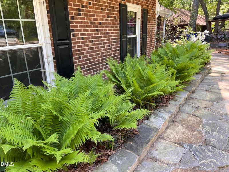 403 Brandywine Rd, Chapel Hill, NC 27516