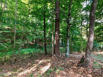 405 Newquay Ln, Wake Forest, NC 27587