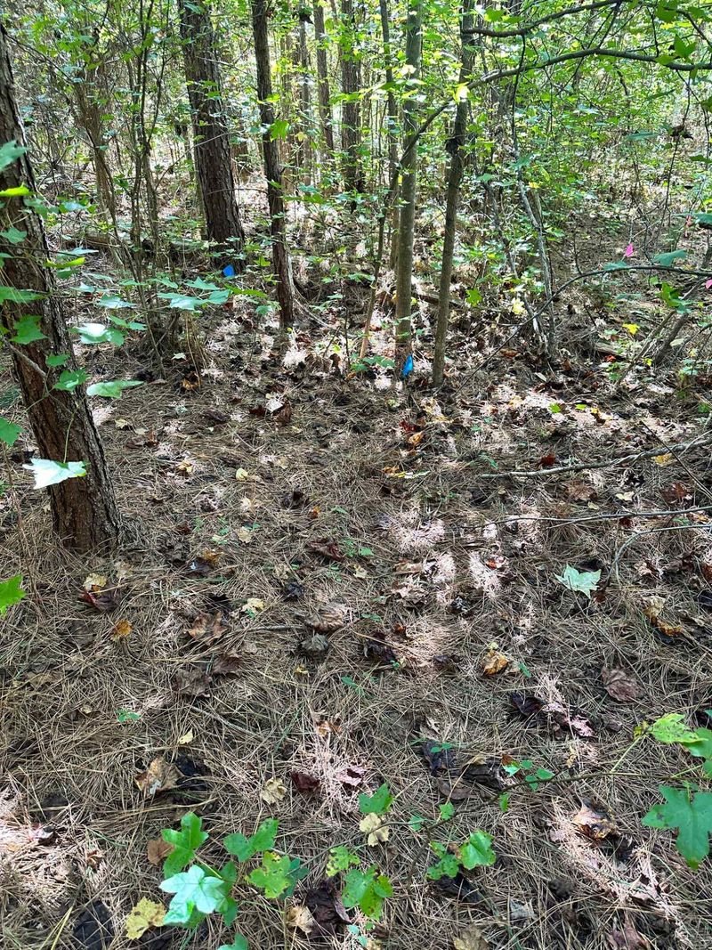4055 Oak Ridge Ct Lot 10 & 10A, Franklinton, NC 28525