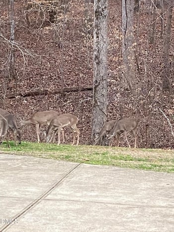 406 Boone Trl, Garner, NC 27529