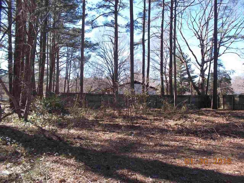 407 Quail Rn, Wendell, NC 27591