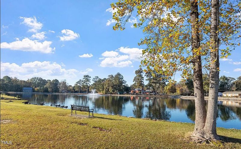 407 E Williams St, Angier, NC 27501
