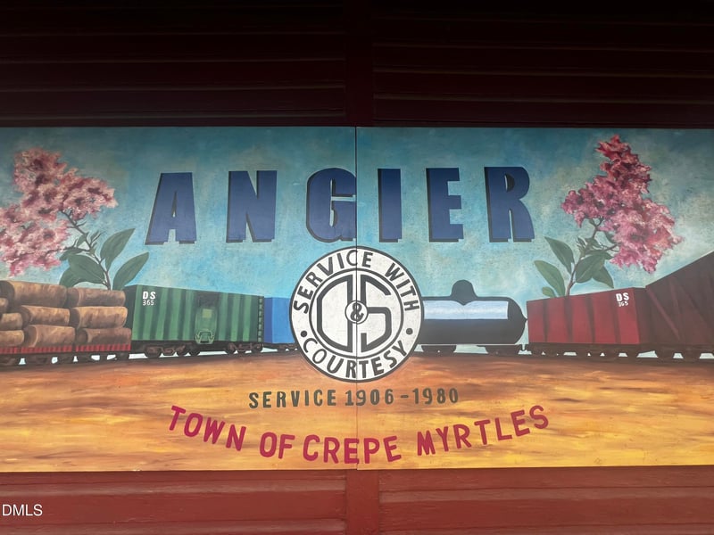 407 Willow St, Angier, NC 27501