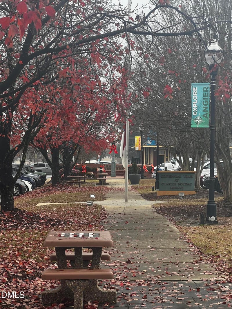 407 Willow St, Angier, NC 27501