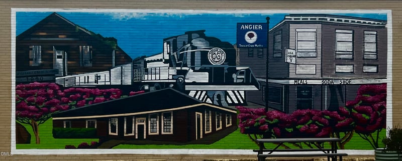 407 Willow St, Angier, NC 27501