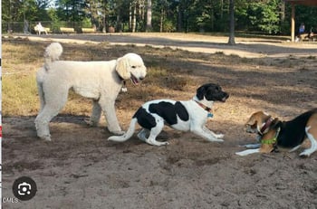 408 Lena Cir, Chapel Hill, NC 27516