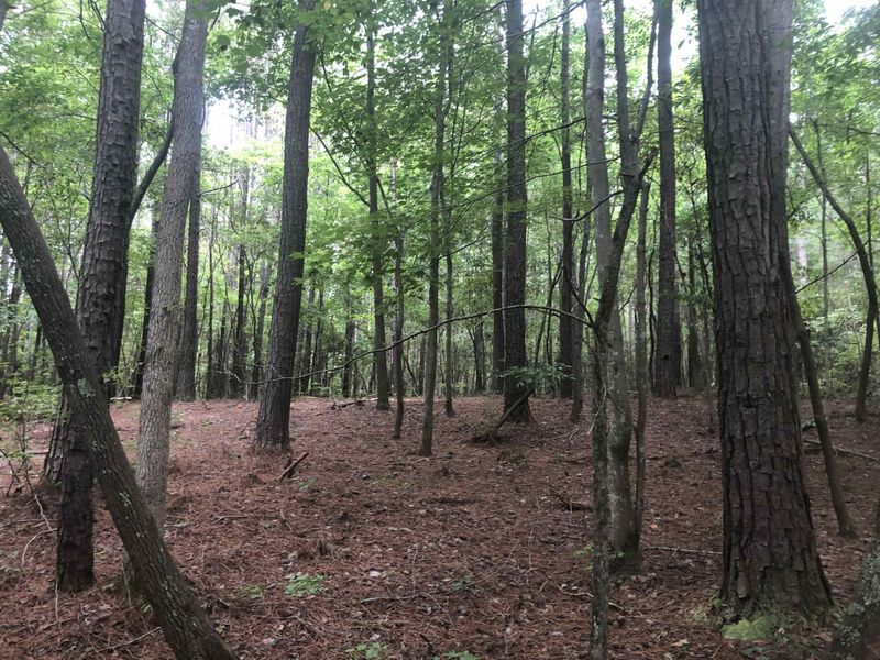 408 Milliken Rd Lot 1, Pittsboro, NC 27312