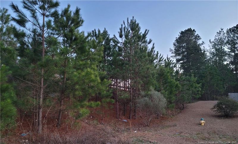409 Bramblegate Rd, Hope Mills, NC 28348