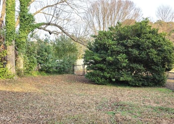 409 Rose Ln, Raleigh, NC 27610