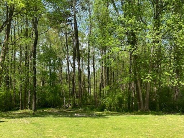 41 Crepe Myrtle Ct, Angier, NC 27501