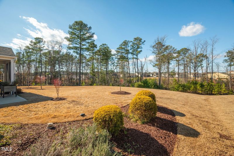 41 Currituck Ln, Durham, NC 27703