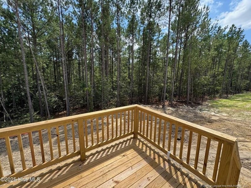 41 Horse Trot Ln, Sanford, NC 27332