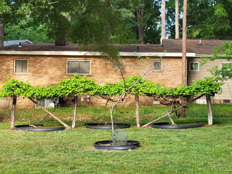 410 Argonne Dr, Durham, NC 27704