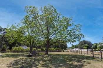 410 Raeford Rd, Angier, NC 27501