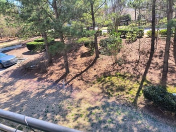 4103 Sykes St, Cary, NC 27519