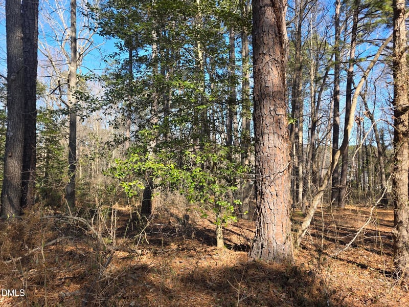 4113 Pearl Rd Lot 1, Raleigh, NC 27610