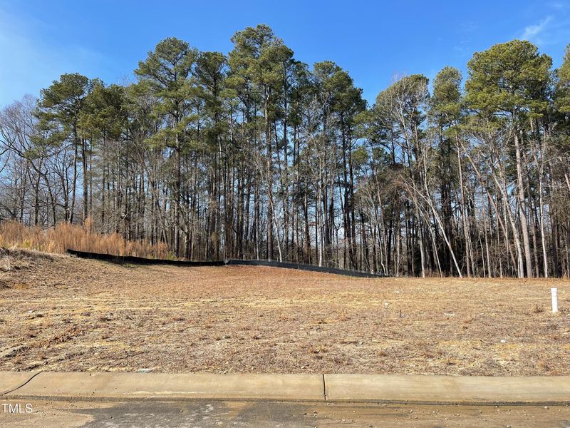 413 Lavatera Dr, Wendell, NC 27591