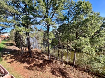 413 Ruby Walk Dr, Morrisville, NC 27560