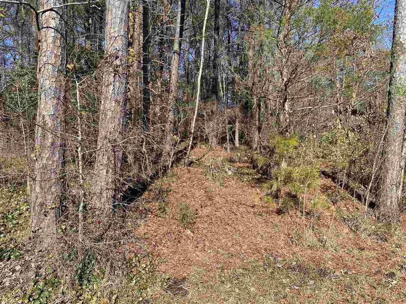 4135 Farrington Rd Lot 5, Durham, NC 27707
