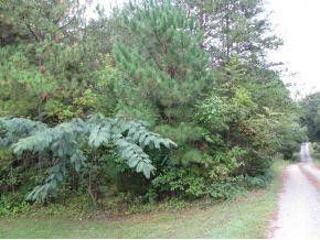 414 Dodson Road A, Mebane, NC 27302