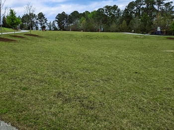 414 Walnut Woods Dr, Morrisville, NC 27560