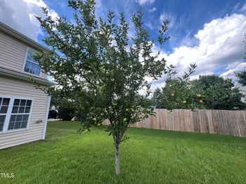 417 Downing Glen Dr, Morrisville, NC 27560