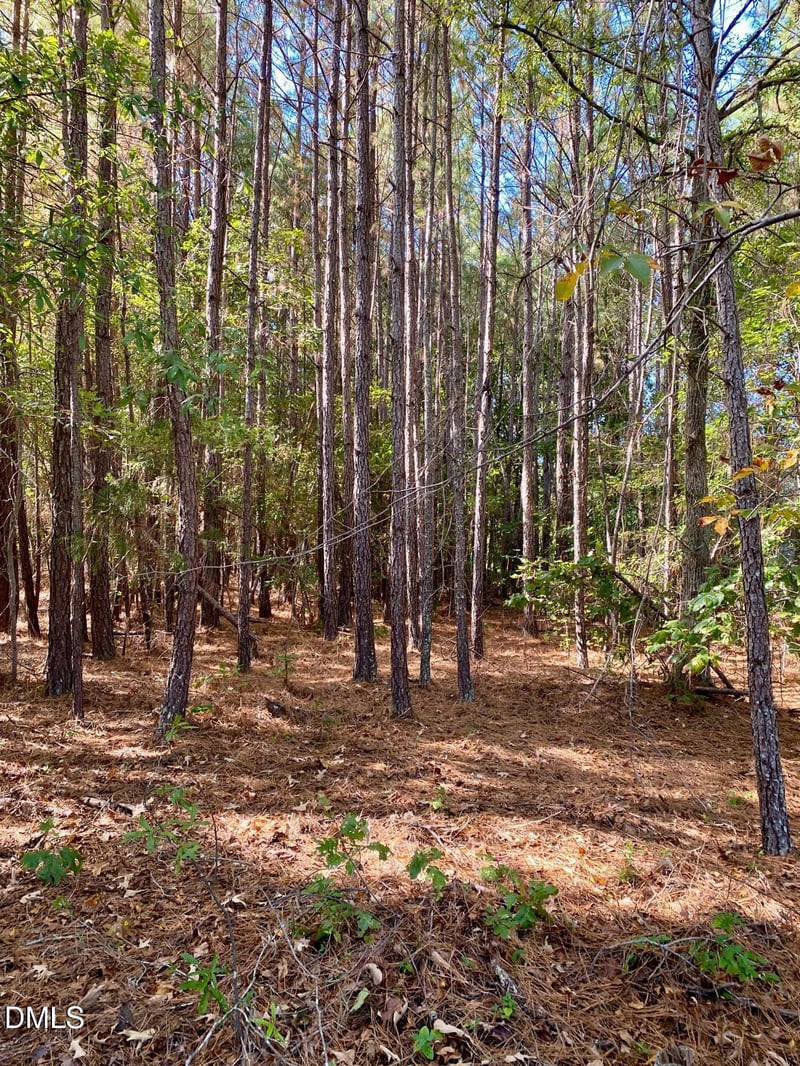 42 Asbury Church Rd Lot 80614, Sanford, NC 27330