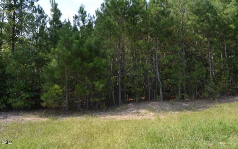 42 Asbury Church Rd, Sanford, NC 27330