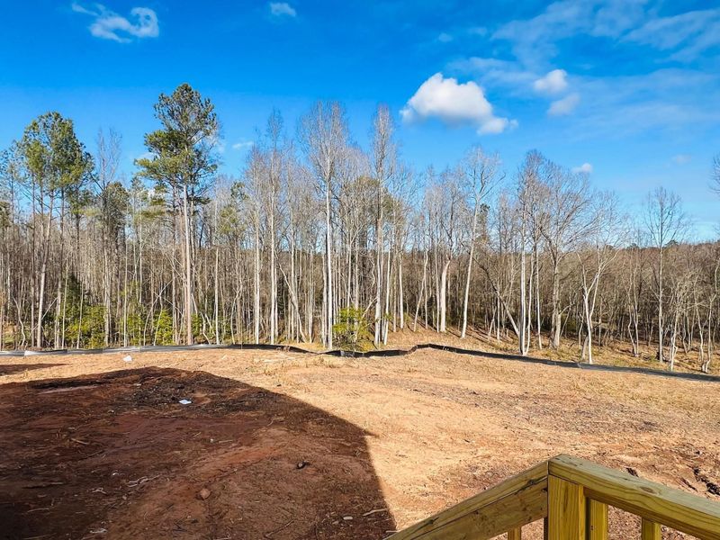 42 Big View Ct, Zebulon, NC 27597