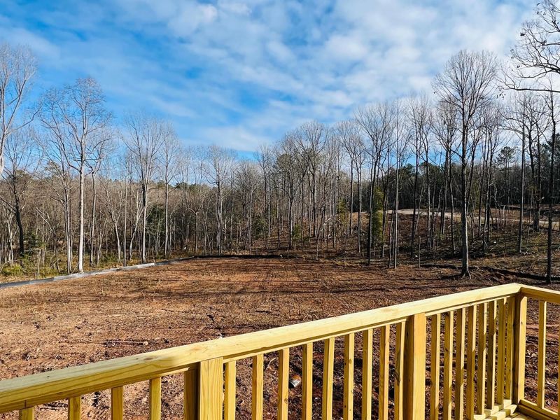 42 Big View Ct, Zebulon, NC 27597