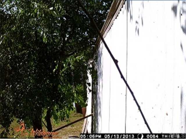420 Bern Wilder Rd, Louisburg, NC 27549