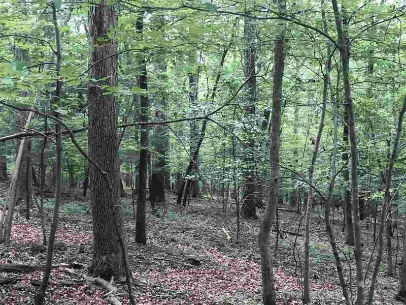 420 Dragonfly Trl Lot 2B, Chapel Hill, NC 27517