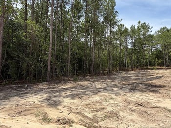 420 Grand Griffon Way, Lillington, NC 27546