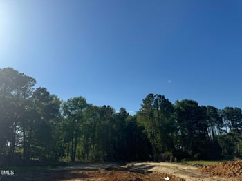 420 Shelby Meadow Ln, Angier, NC 27501