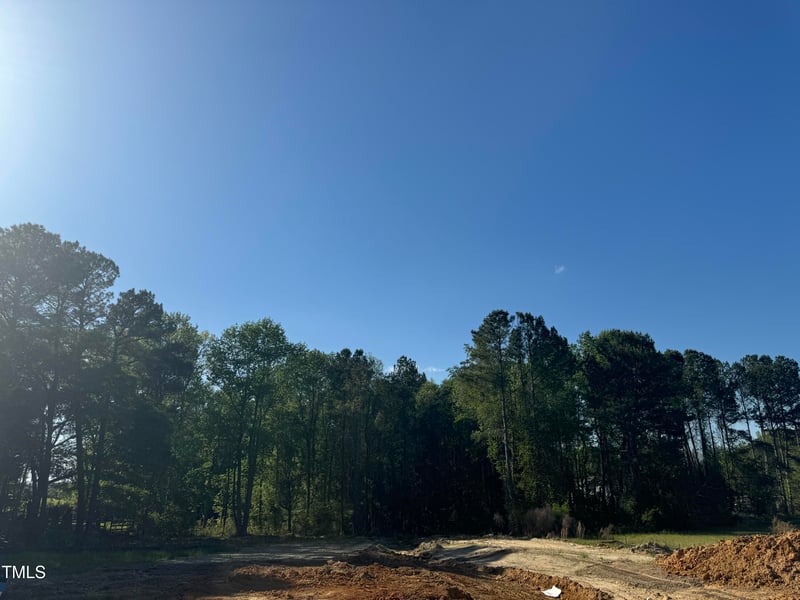 420 Shelby Meadow Ln, Angier, NC 27501
