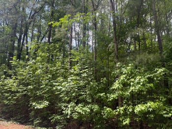 420 Todd St, Durham, NC 27704