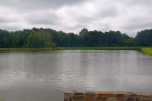 4203 Vineyard Ridge Dr, Zebulon, NC 27597