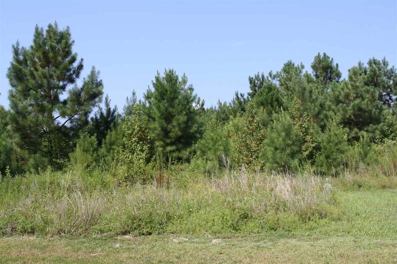 4204 Grahamstone Rd Lot 10, Raleigh, NC 27610