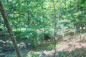 4204 Kerley Rd, Durham, NC 27705