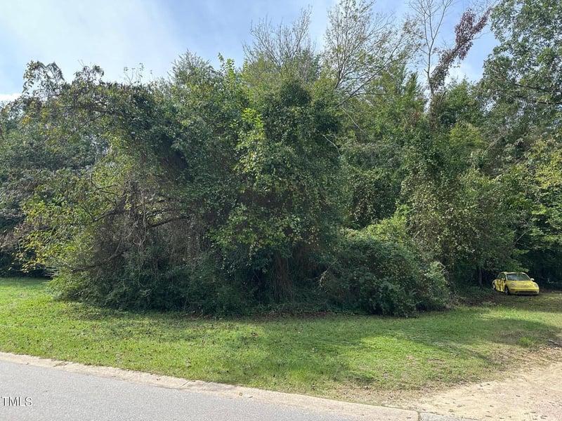 4209 James Rd Lot 17, Raleigh, NC 27616