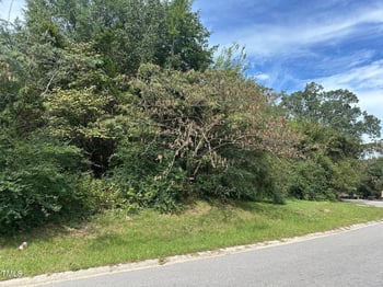 4209 James Rd Lot 17, Raleigh, NC 27616