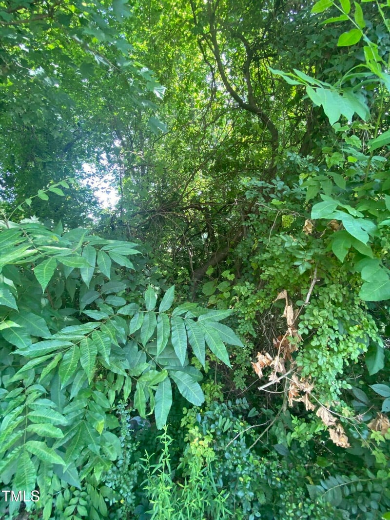 421 Holt St Lot 1A and 1B, Mebane, NC 27302