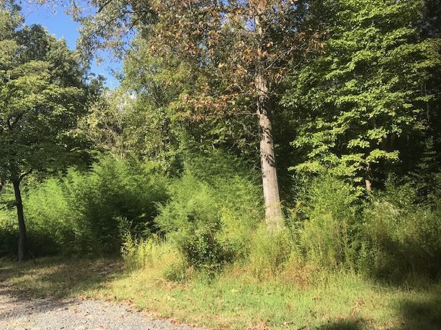 4221 W Us 70 Lot 66, Durham, NC 27705