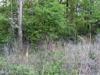 4222 Jeffries Rd, Durham, NC 27704